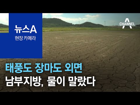 [현장 카메라]<strong>태풍도</strong> 장마도 외면…남부지방, 물이 말랐다 | 뉴스A