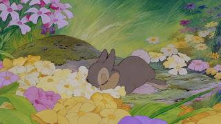 Soft Disney Oldies 1950s – Classic Disney Music | Vintage Oldies and Cozy Garden Ambience screenshot 5