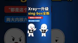 Xray一升级sing-box全断？'都是这个世界的错' #vpn安全 #3xui