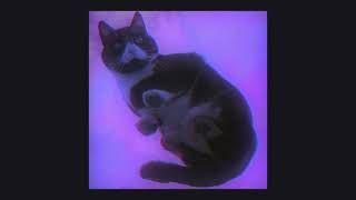 Download Lagu Cyter - Purple Skies (Chillsynth) MP3 Download Lagu Cyter - Purple Skies (Chillsynth) MP3