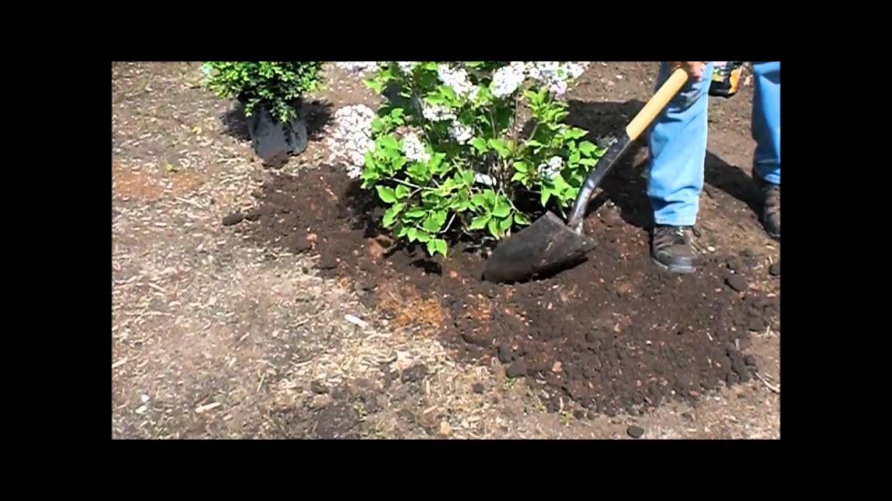 Glasshouse Nursery Pot Grown Trees Shrubs