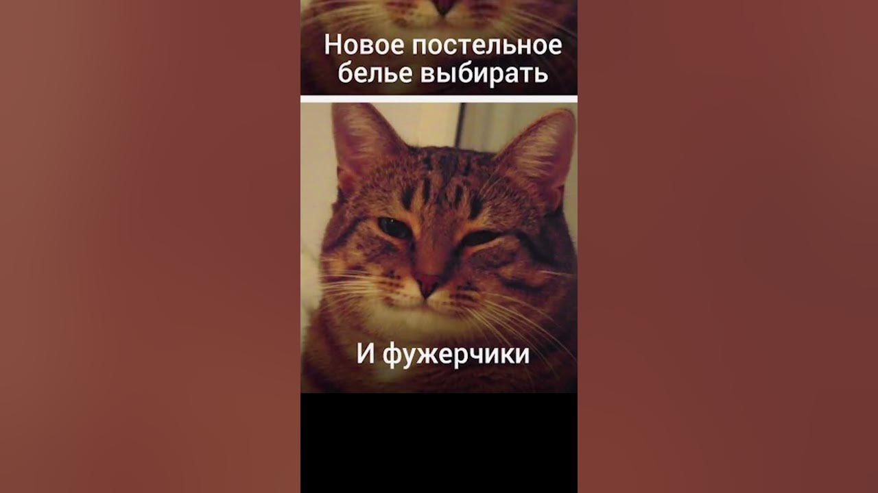 Мем про фужерчики исцеляет души и не только 360 °