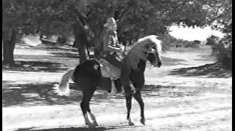Koko The Miracle Horse of The Movies Koko The Miracle Horse of The Movies