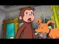 Cos'è quel rumore inquietante? 🐵 Curioso Come George 🐵 Cartoni per Bambini
