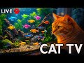 🔴 24/7 LIVE Cat TV Fish Tank | Fish for Cats to Watch (4K HDR, No Music) Aquarium for Cats