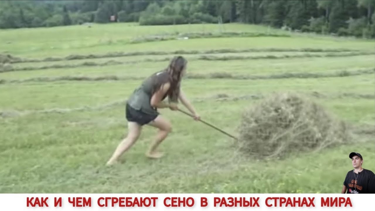 КАК И ЧЕМ СГРЕБАЮТ СЕНО В РАЗНЫХ СТРАНАХ МИРА /HAY PRODUCTION IN DIFFERENT COUNTRIES OF THE WORLD