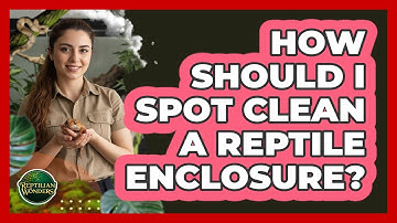 How Should I Spot Clean A Reptile Enclosure?
