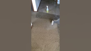 Carpet Cleaning  - A Cleaner Approach - Rogers, AR - 479-657-3615
