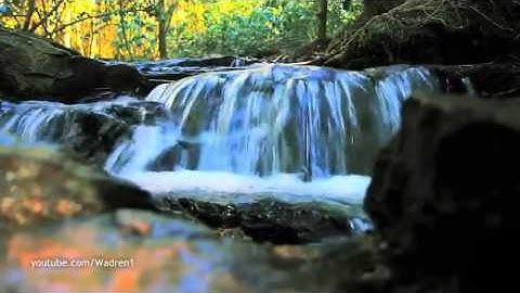 من نوادر التلاوات الحجازية للقارىء مشاري العفاسي 4