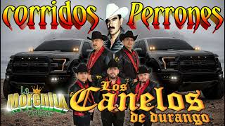 corridos perrones 💥los canelos de durango💥 by La morenita poblana 3,440 views 1 year ago 39 minutes