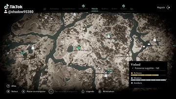 Bug Richesse Vinland Assassin