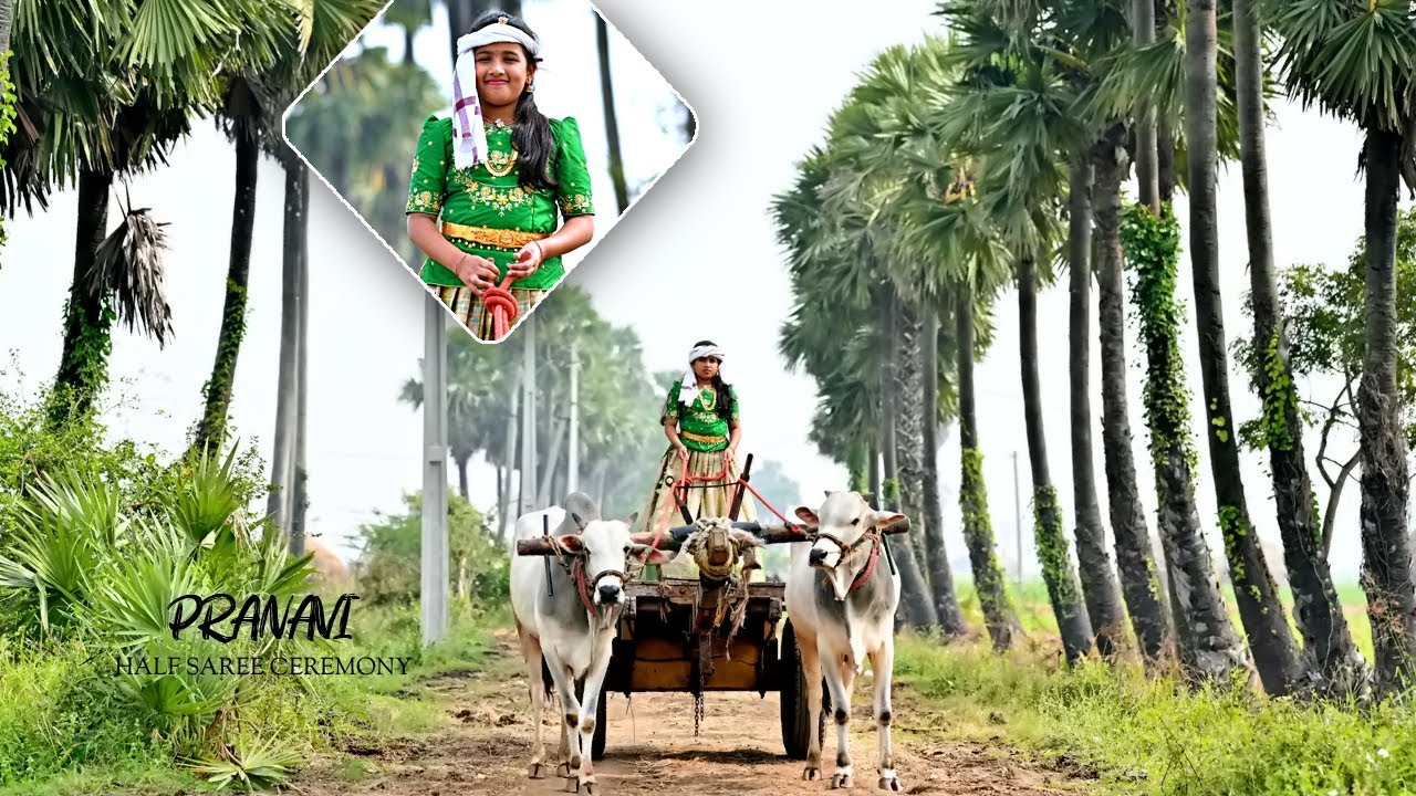 Pranavi Half saree Ceremony # Best Half saree Song # Cenematic #telugu #2026