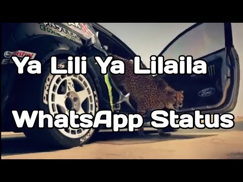 Ya Lili Ya Lila | Love WhatsApp Status | Arabic Song | Ya Leeli Ya Leela Full Screen Video