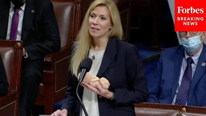 Texas GOP Lawmaker Beth Van Duyne Speaks About Own...