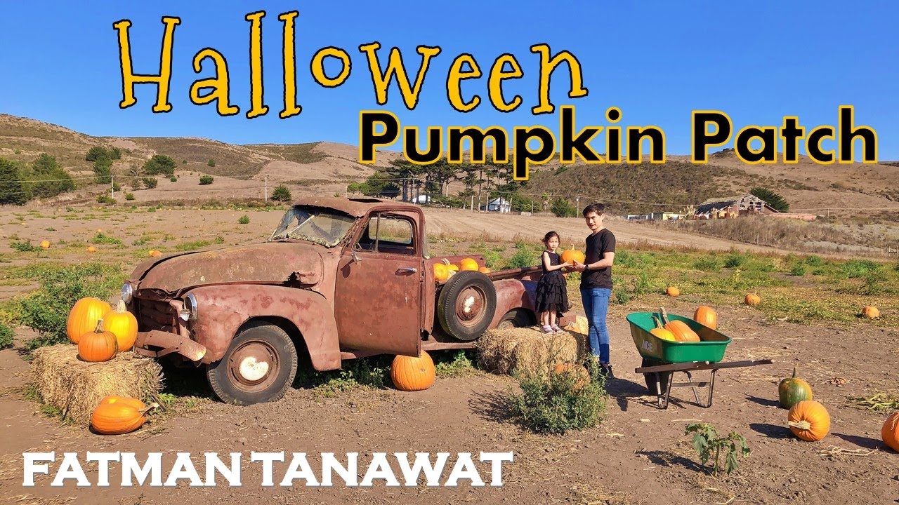 Halloween Pumpkin Patch 🎃👻🧛💀 Pumpkin Farm Half Moon Bay, CA