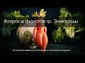 Вопросы фанатов группы Электроды