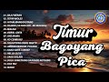 Lagu Timur - Timur Bagoyang Pica || FULL ALBUM TIMUR (Official Music Video)
