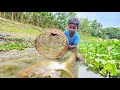 Amazing fishing video - traditional little boy catching fish with polo from rain water #fishing
