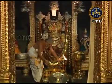 Real video of tirupati venkateshwara national geographic