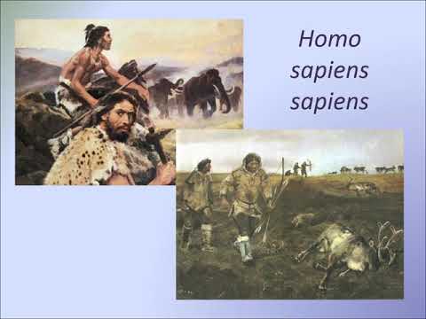 Videó: Különbség A Paleolitikum és A Mezolitikum Között