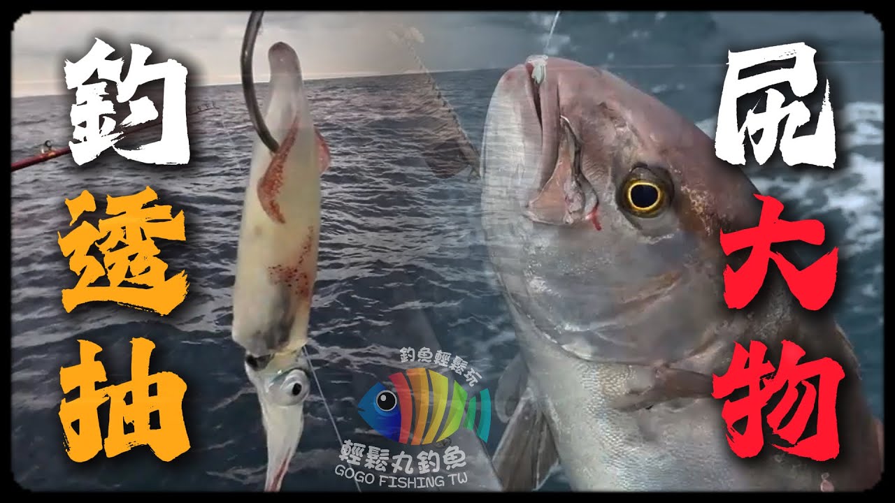 【EP60 透抽大物】輕鬆取物之… 咬餌三部曲~ 只要你敢忍! 沒有開不到!!! …By 釣魚輕鬆玩 #透抽 #船釣 #紅甘