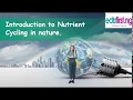 Nutrient Cycling Dynamics in Ecosystems