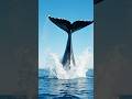 One tail… bigger than a boat 😳#aigenerated #visualai #ai #aishorts