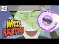 Wild Kratts - Top Season 2 Moments (80 Minutes!) | Kids Videos