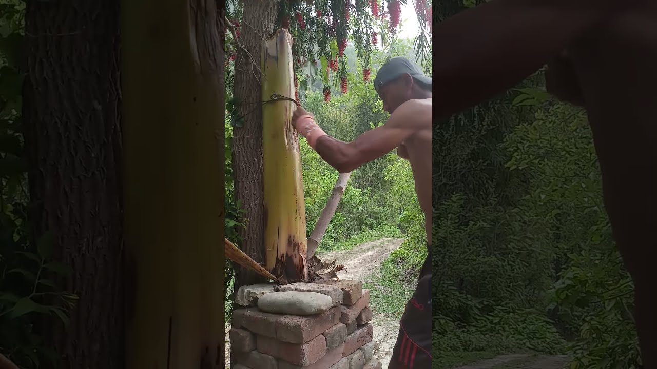 bare hand  hitting in banana tree  💀
