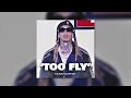 (FREE) D-Block Europe Loop Kit "Too Fly" UK Rap Sample Pack (Clavish, Young Adz, DBE x Central Cee)