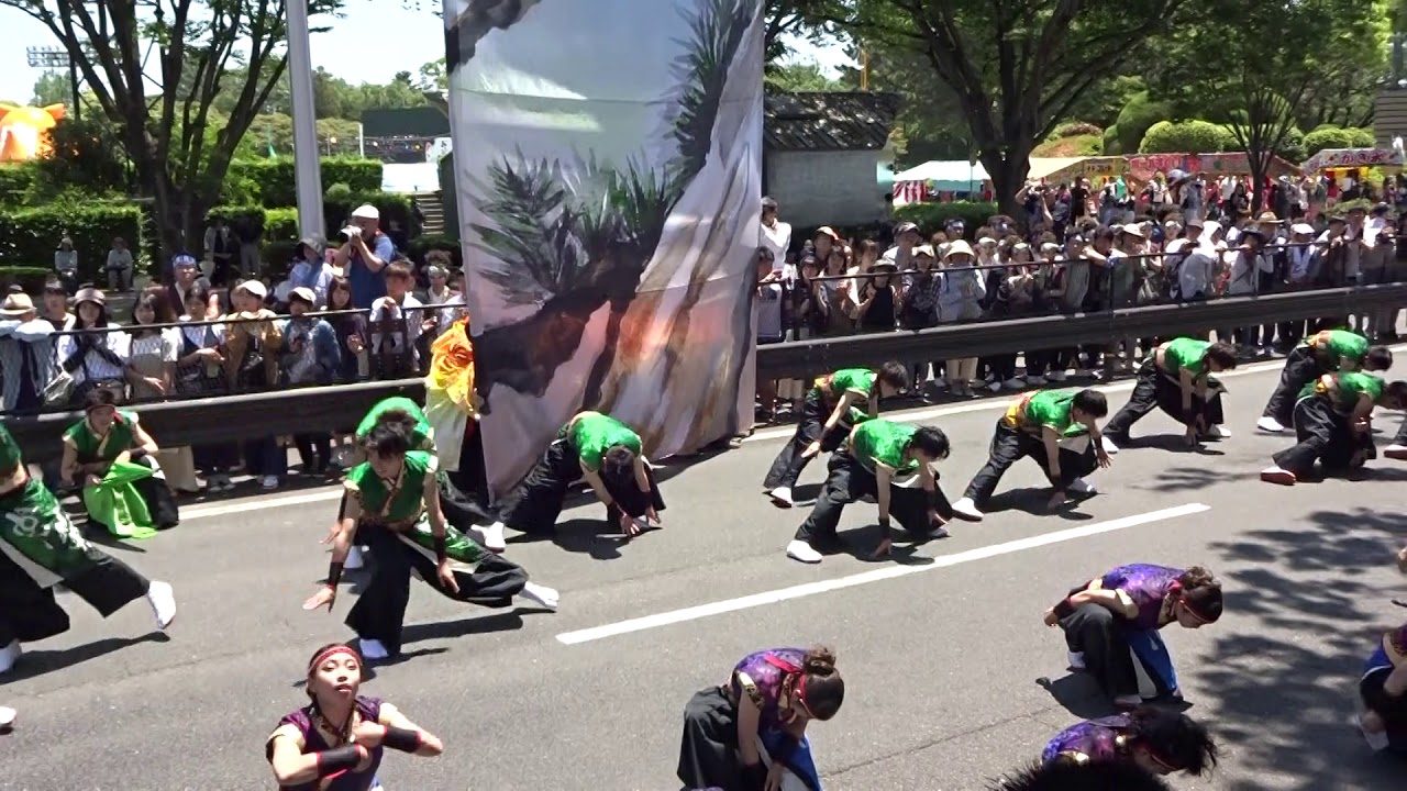 2019 よさこい in おいでん祭 「愛知学院大学　常笑」