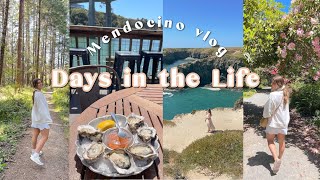 DAYS IN THE LIFE! | Mendocino getaway, what we ate, relaxing + exploring! 🌲🌊