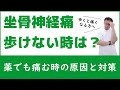 坐骨神経痛で歩くと足が痛くなるので歩けない場合の原因とストレッチ