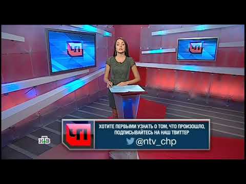 Chp - Начало