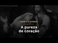 A pureza de coração (Homilia Diária.1603: Terça-feira da 28.ª Semana do Tempo Comum)