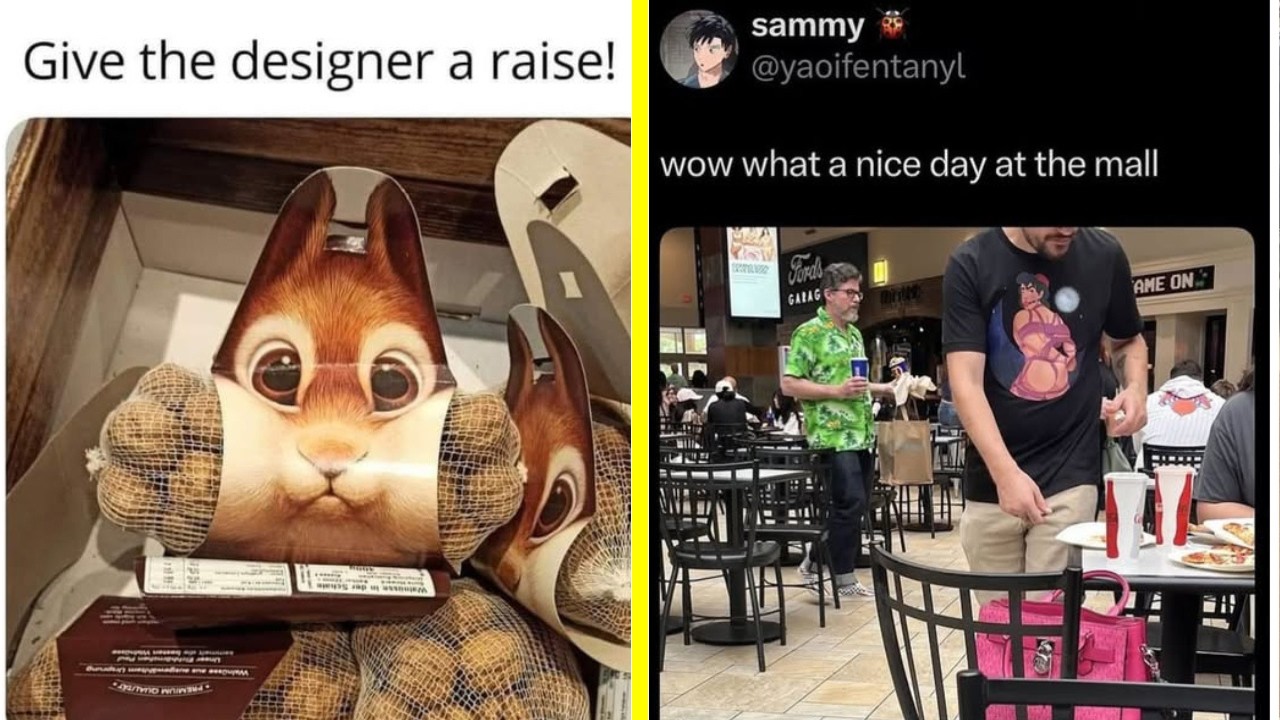 Memes I found on the Internet 6 | Give the designer a raise!