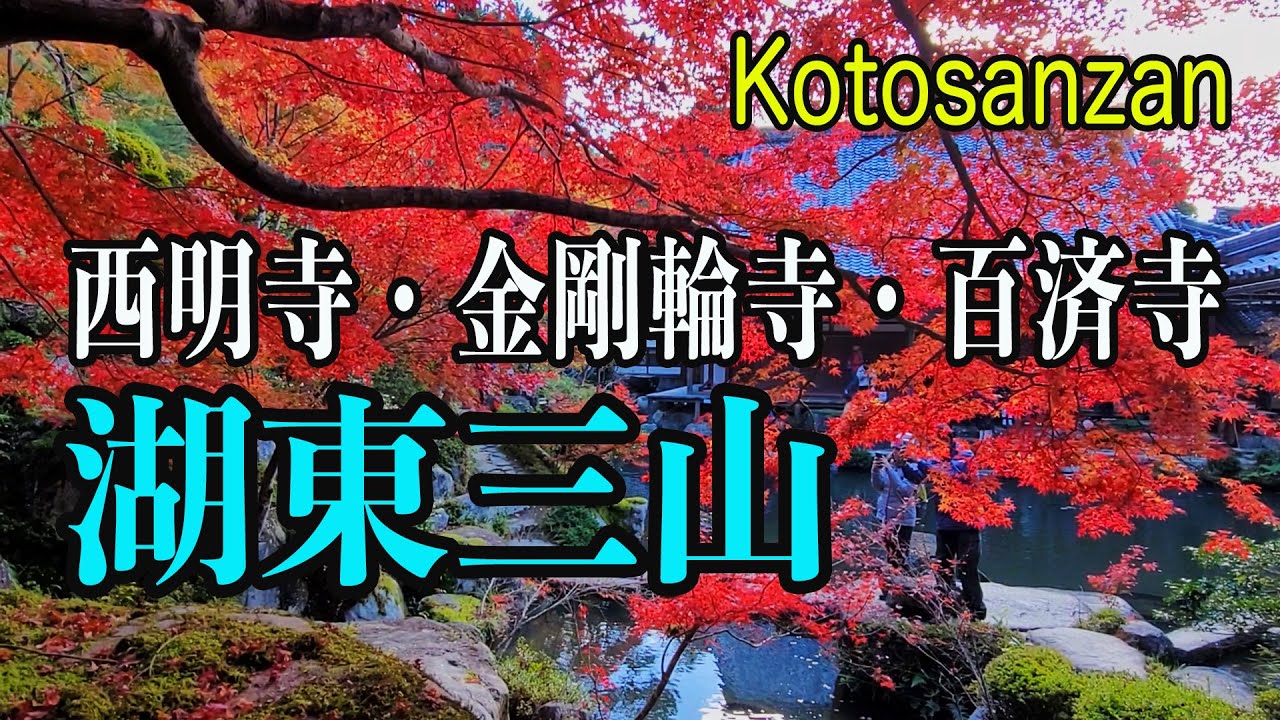湖東三山（西明寺・金剛輪寺・百済寺）の紅葉