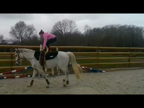 voltige galop 1