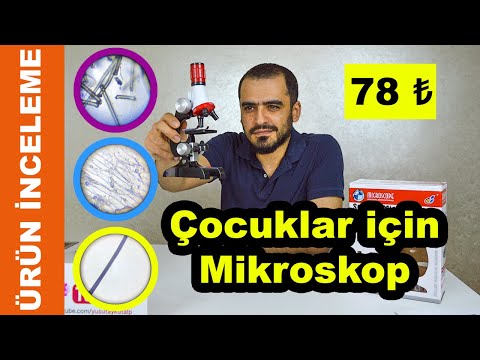 Video: Tavşan Çivileri Nasıl Kesilir: 14 Adım (Resimlerle)