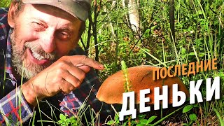 #20 Последние деньки на Белом море |  Блинчики с мидиями | Поход 2021