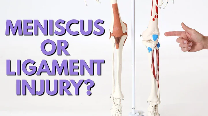 Deciphering Knee Pain: Meniscus or Ligament Injury?