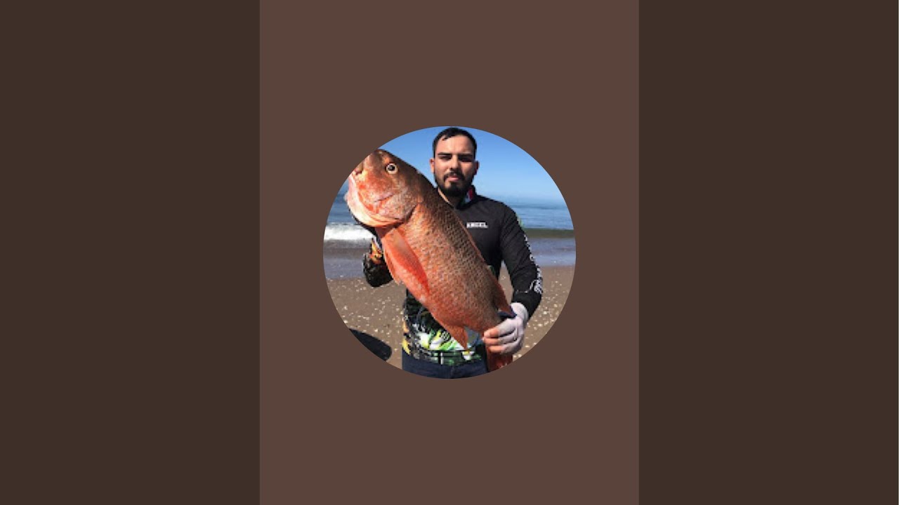AC Fishing Tv. está en vivo - YouTube