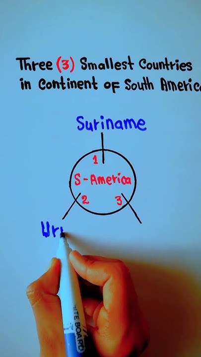What Are The 3 Smallest Countries In South America South America smallest-bone-in-human-body-youtube