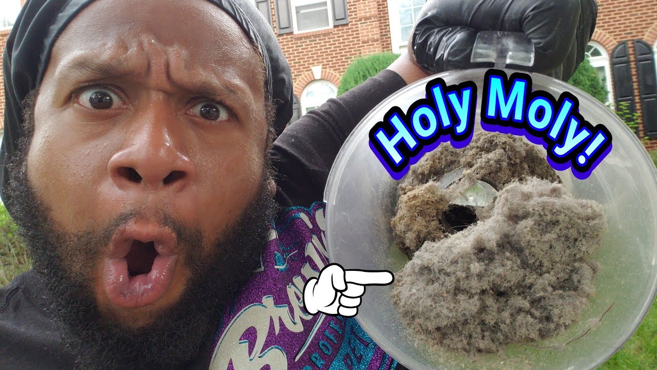 The CRUNCHIEST Vacuuming on Extremely dirty carpet Satisfying ASMR