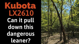 Will It Work? Tree Removal with a Kubota LX2610