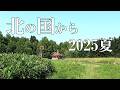 「北の国から」聖地巡礼2025夏~北海道富良野より 4K