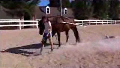 First attempt at pulling a tire
