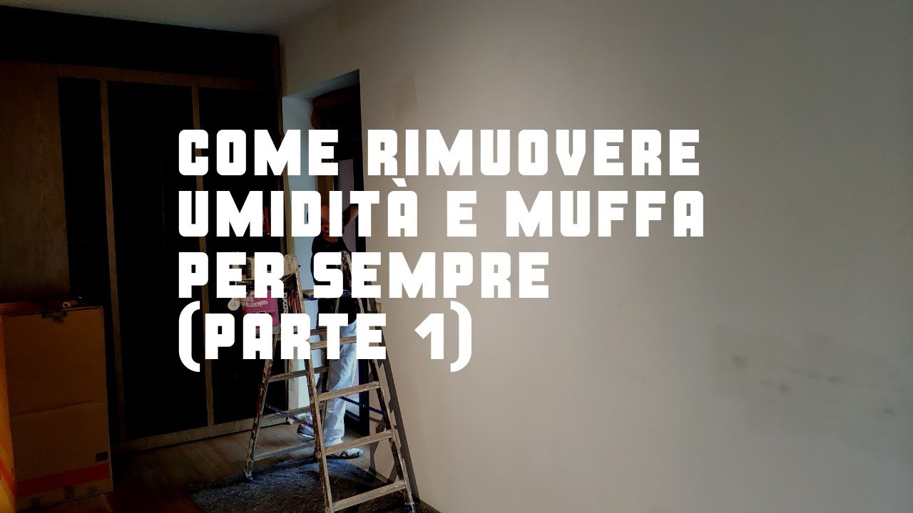 Umidità & muffe (parte 1): infiltrazione dacqua, raschiare il ... Infiltrazioni di acqua