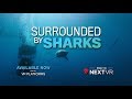 Surrounded By Sharks in Virtual Reality 🦈| NextVR