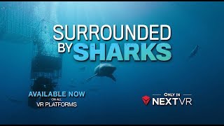 Surrounded By Sharks in Virtual Reality 🦈| NextVR screenshot 4